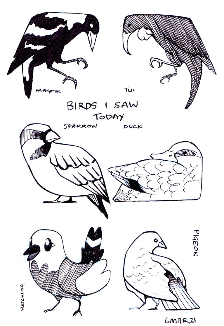 birds