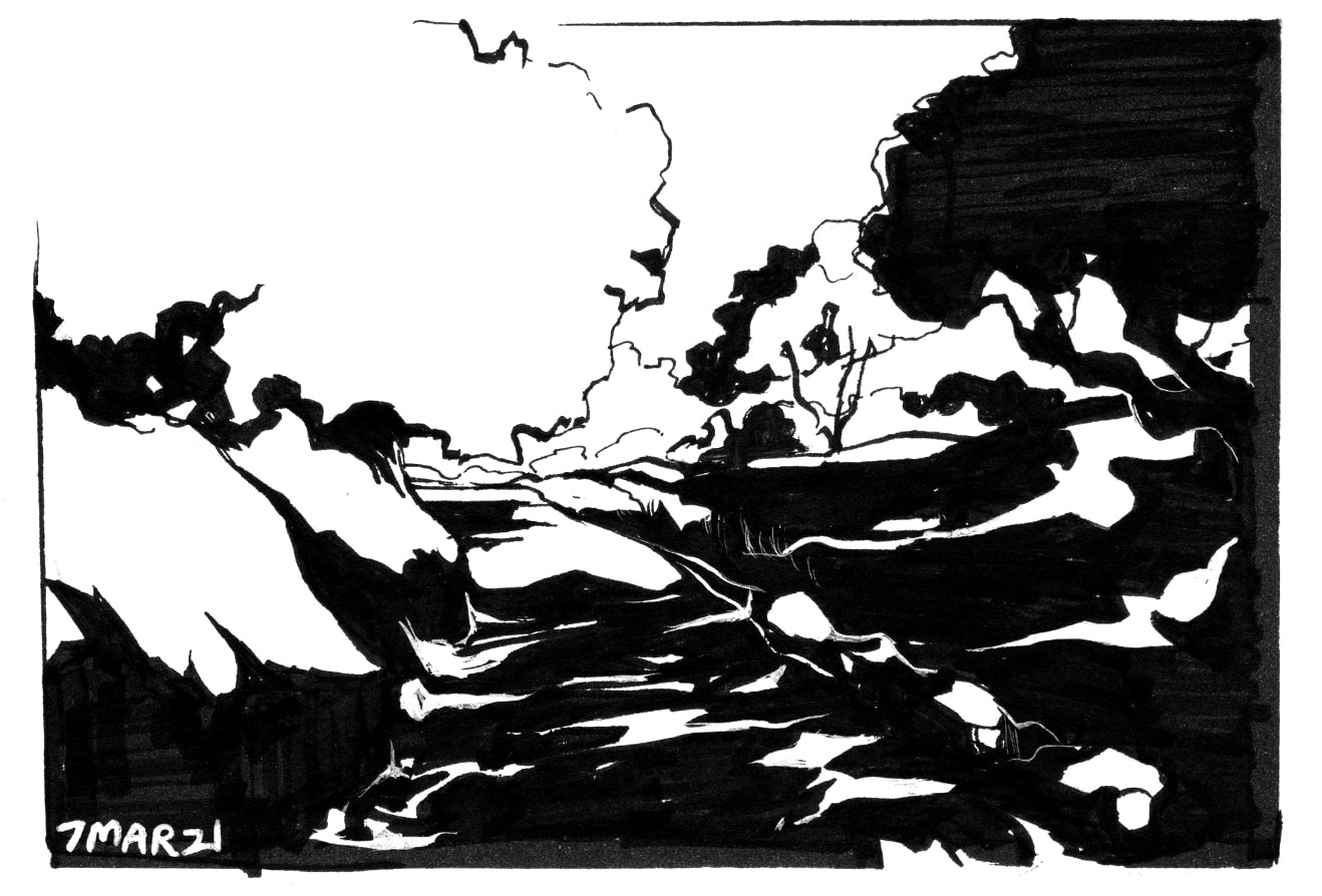 shadows