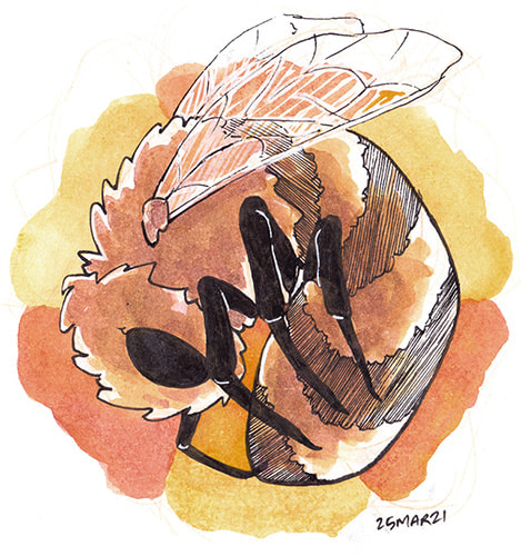 Hexagonal Bee