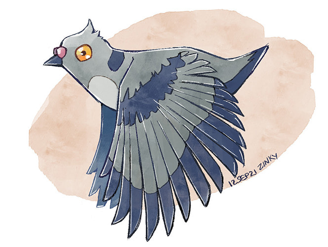 just a pigeon.