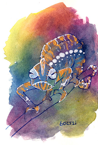 Colourful Chameleon
