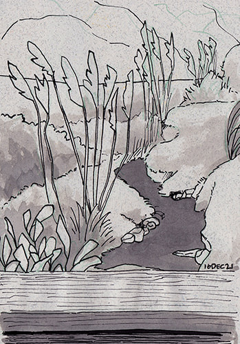 stream