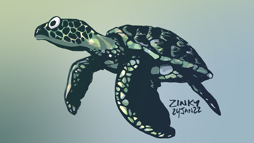 Turtle, light experiments