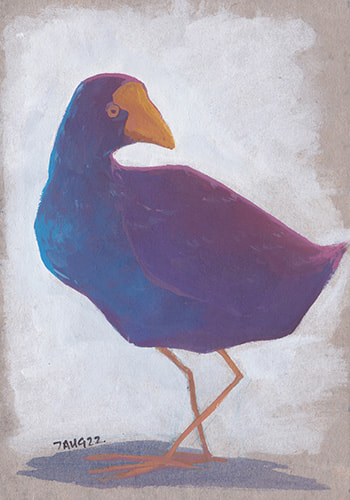 pukeko