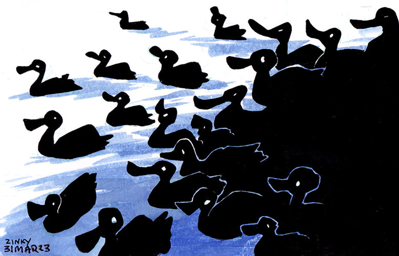 more ducks